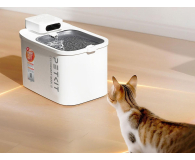 PetKit Pet Drinking Fountain inteligentne poidło dla zwierząt - 1606091 - zdjęcie 8